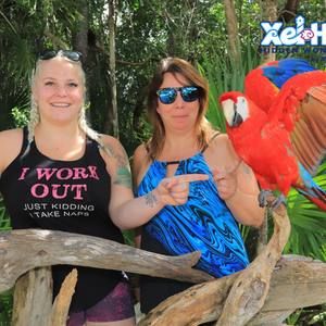 Meet your Posher, Alisha